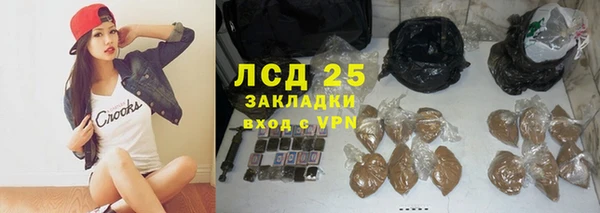 СК Новодвинск