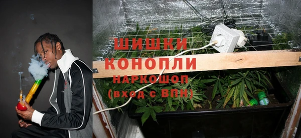 mdpv Новозыбков