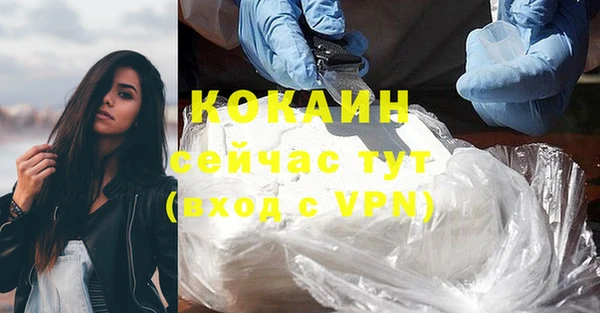 mdpv Новозыбков