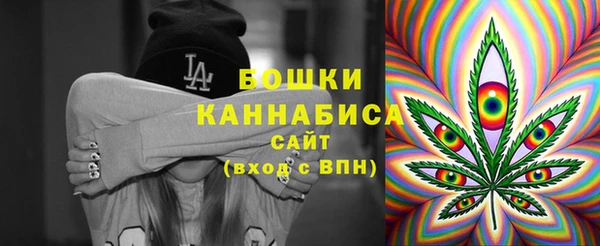 СК Новодвинск