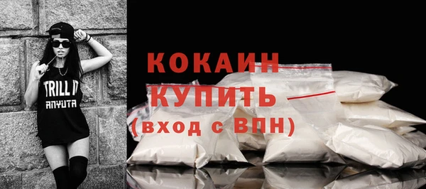 СК Новодвинск