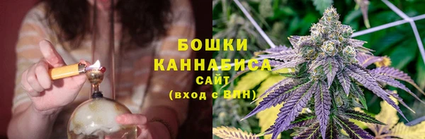 mdpv Новозыбков