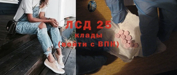 СК Новодвинск