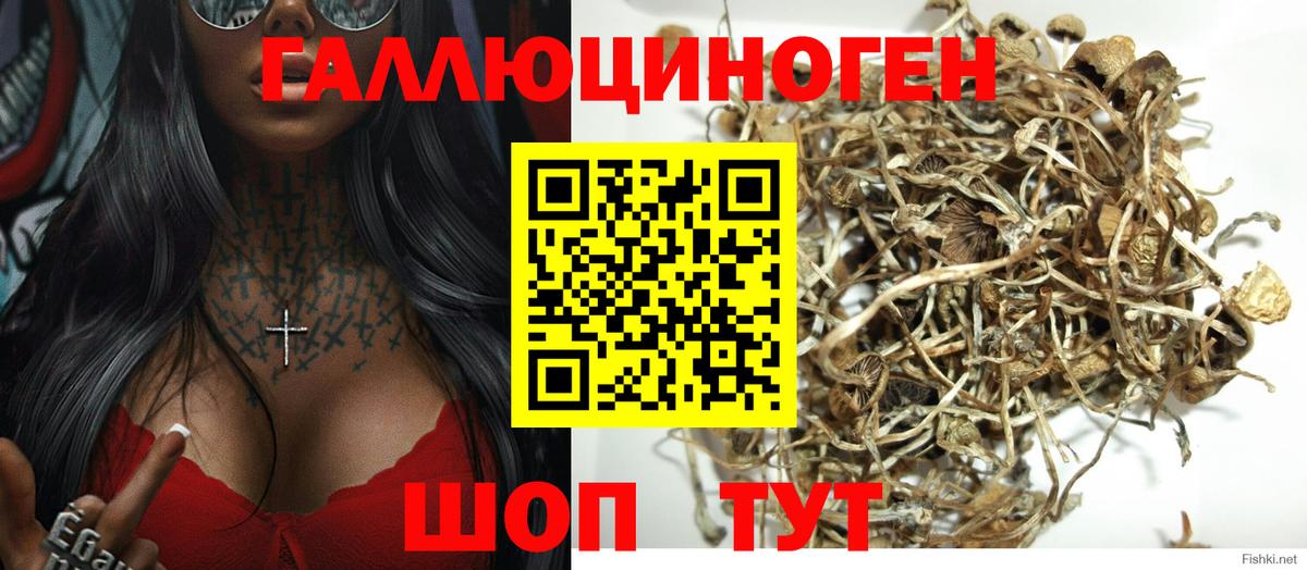 Псилоцибиновые грибы Psilocybine cubensis  Вход с VPN  Салават 