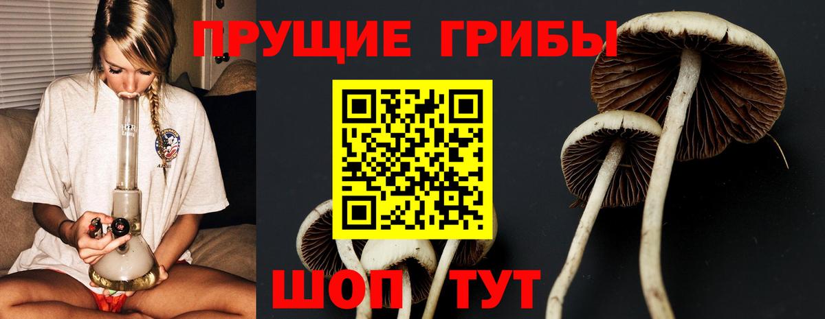 Псилоцибиновые грибы MAGIC MUSHROOMS Салават